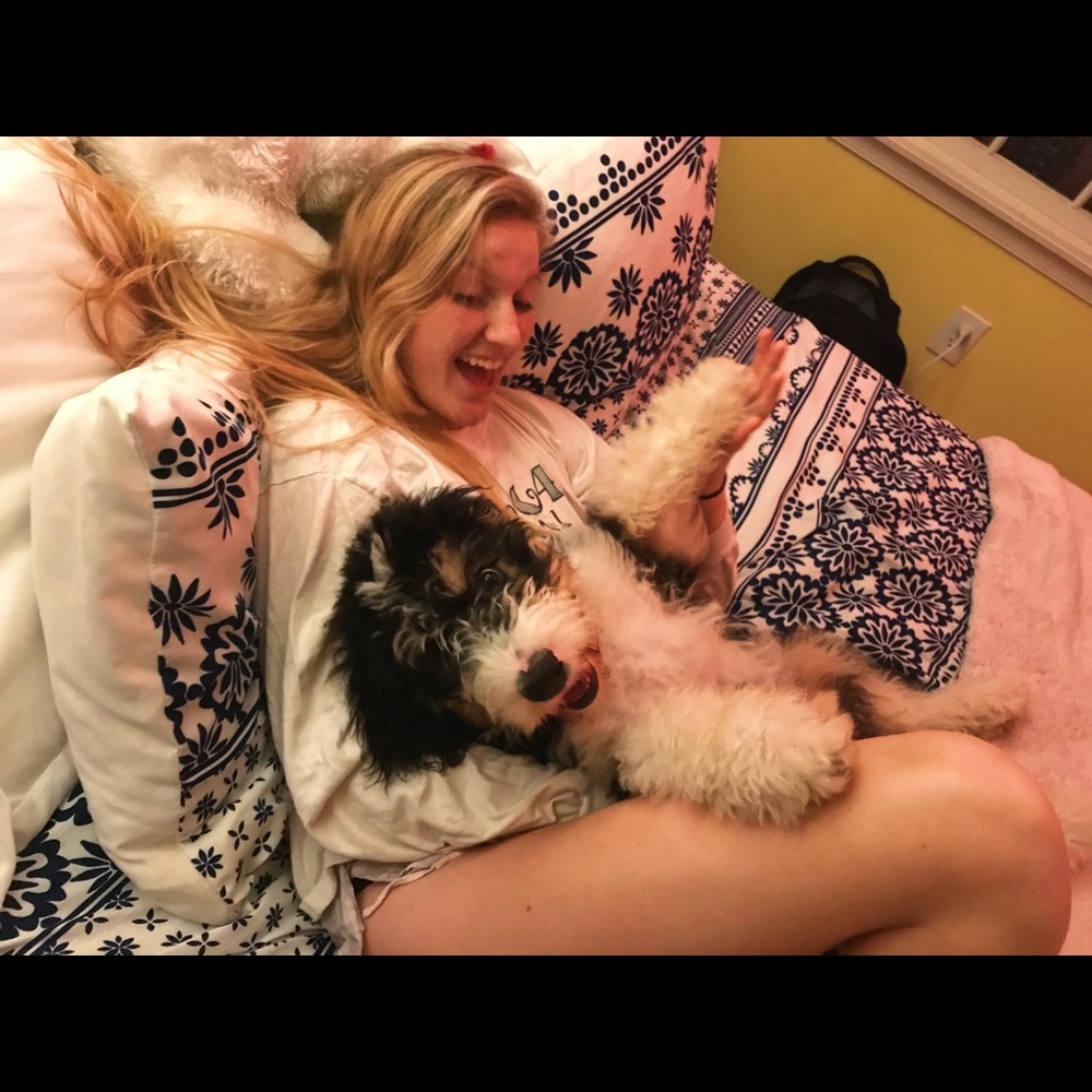 Meet your Posher, Shannon